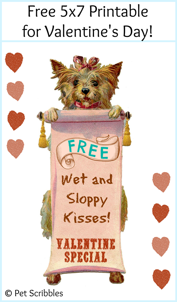 Free Printable Dog Valentine Garden Sanity By Pet Scribbles