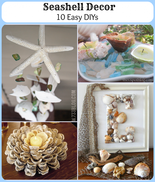 Seashell Decor: 10 Easy DIYs - Pet Scribbles