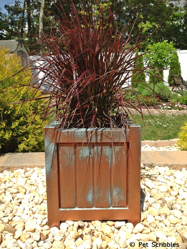 Easy Faux Copper Patina Paint Finish - Garden Sanity by Pet Scribbles