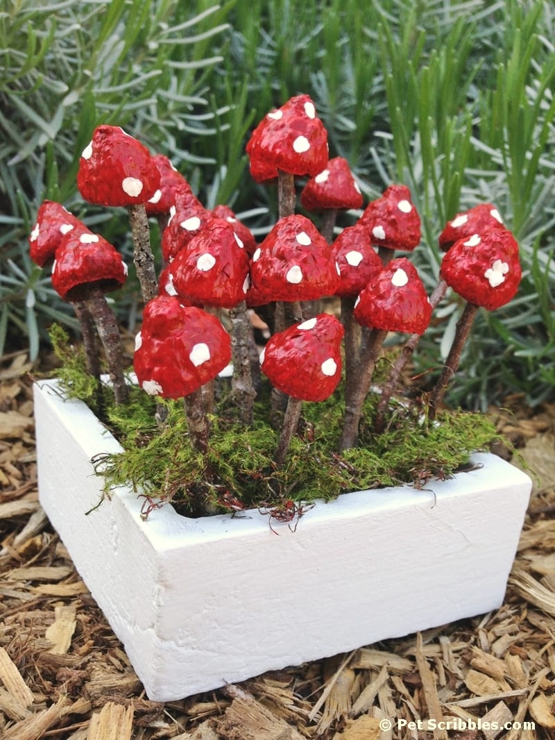 Charming Fairy Garden Mushrooms From Acorns And Twigs Pet Scribbles