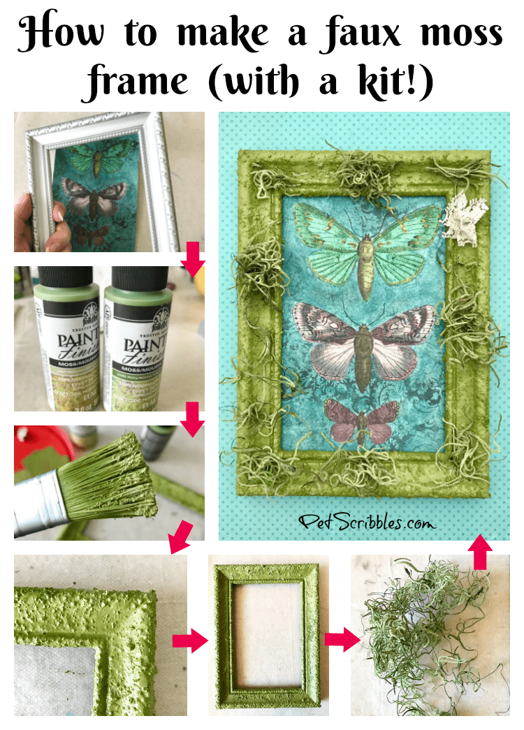 How to make a faux moss frame (with a kit!) - Garden Sanity by Pet
