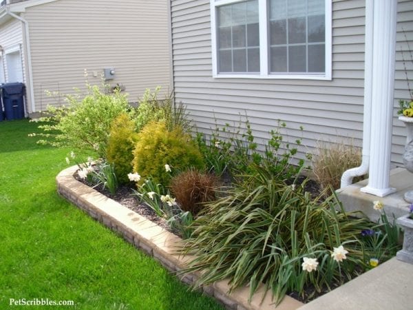 How to plan your dream front yard! - Garden Sanity by Pet Scribbles