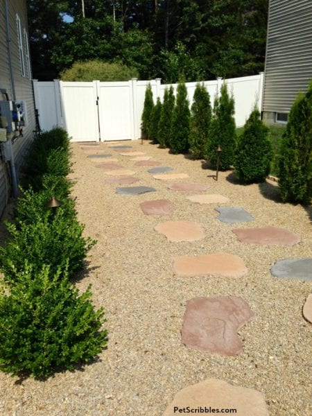 Side Yard Makeover: Easy Care and Attractive - Garden Sanity by Pet ...