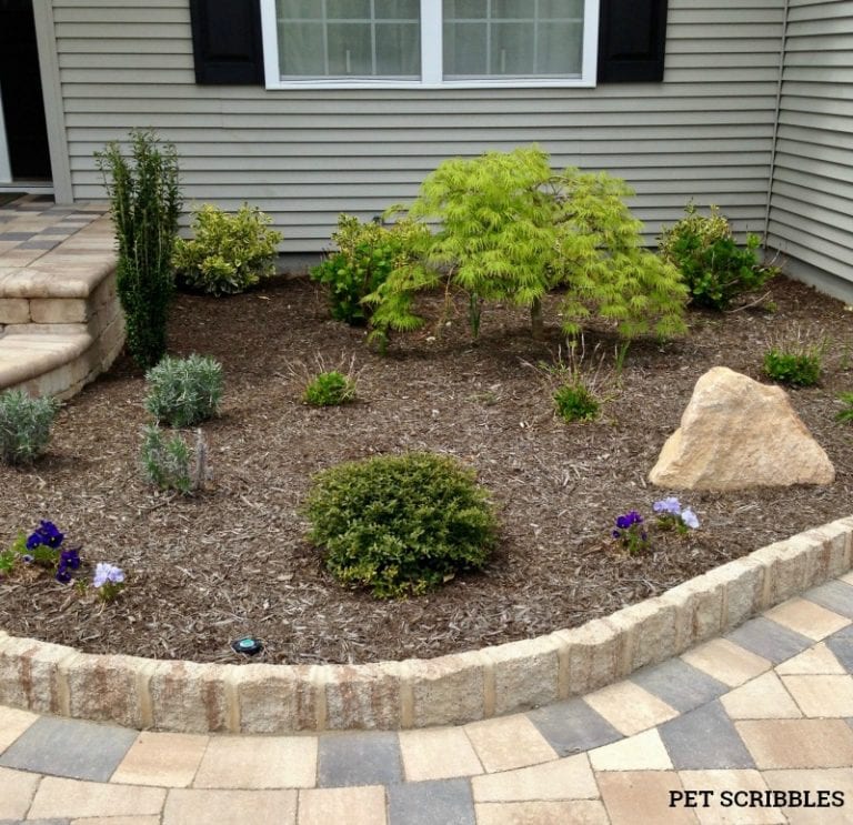 Evolution of a Garden Bed - Front Entrance - Garden Sanity by Pet Scribbles