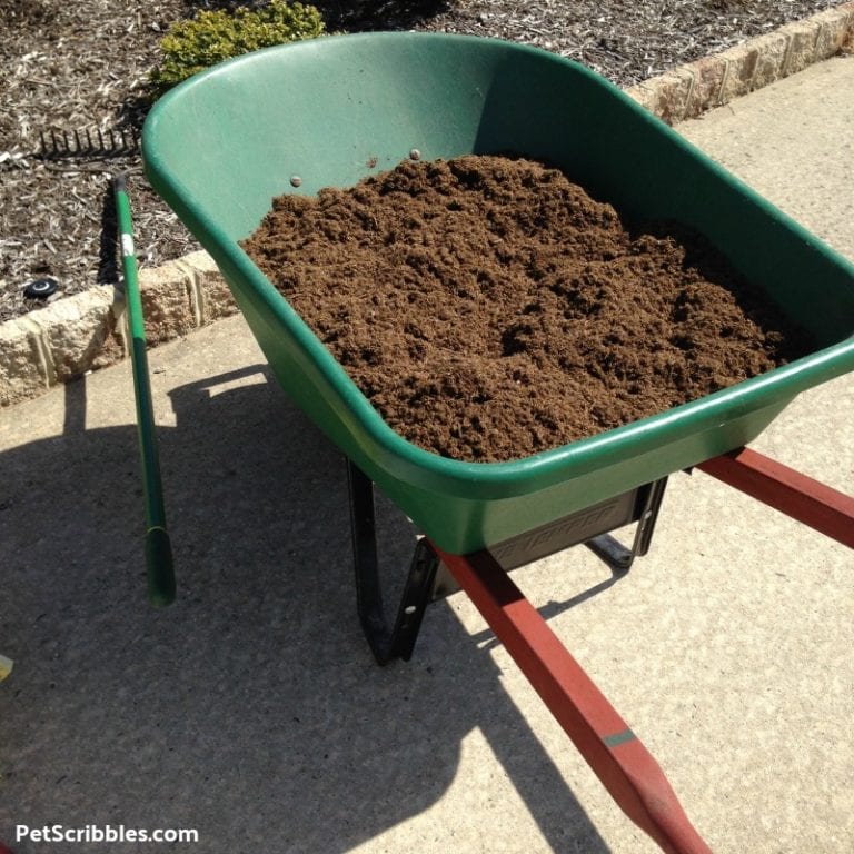 Improve Soil Quality with Composted Cow Manure - Garden Sanity by Pet ...