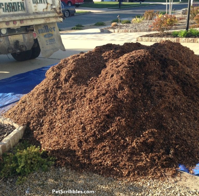 Improve Soil Quality with Composted Cow Manure - Garden Sanity by Pet ...