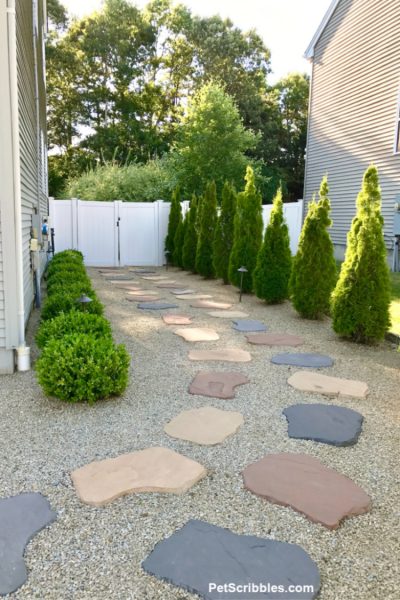 Side Yard Makeover: Easy Care and Attractive - Garden Sanity by Pet ...