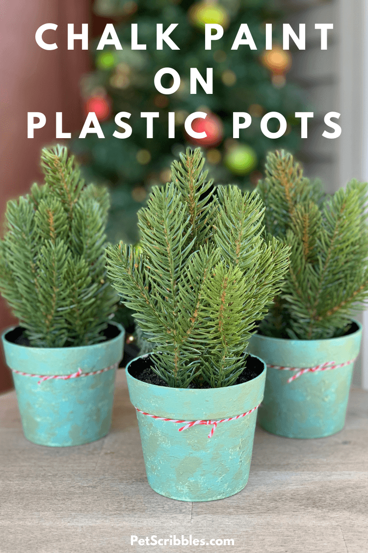 Chalk Paint on Plastic Pots - An Amazing Makeover! - Garden Sanity by Pet  Scribbles